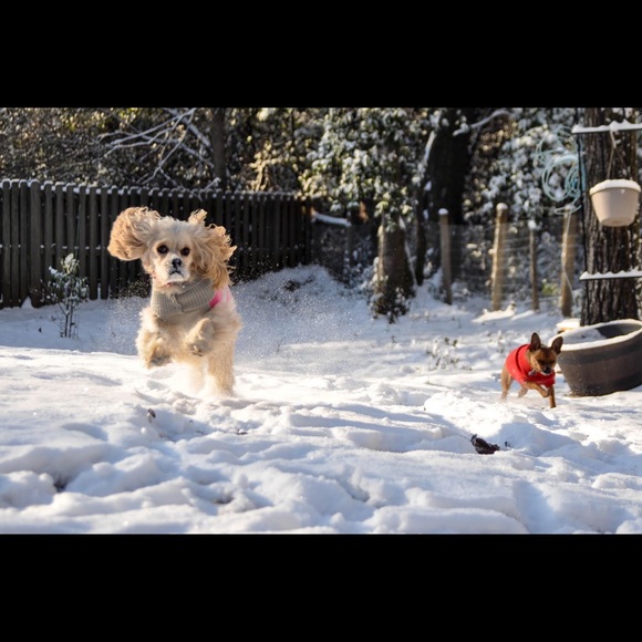 Meet your Posher, Hannah 🍷 - Picture 3 of 3